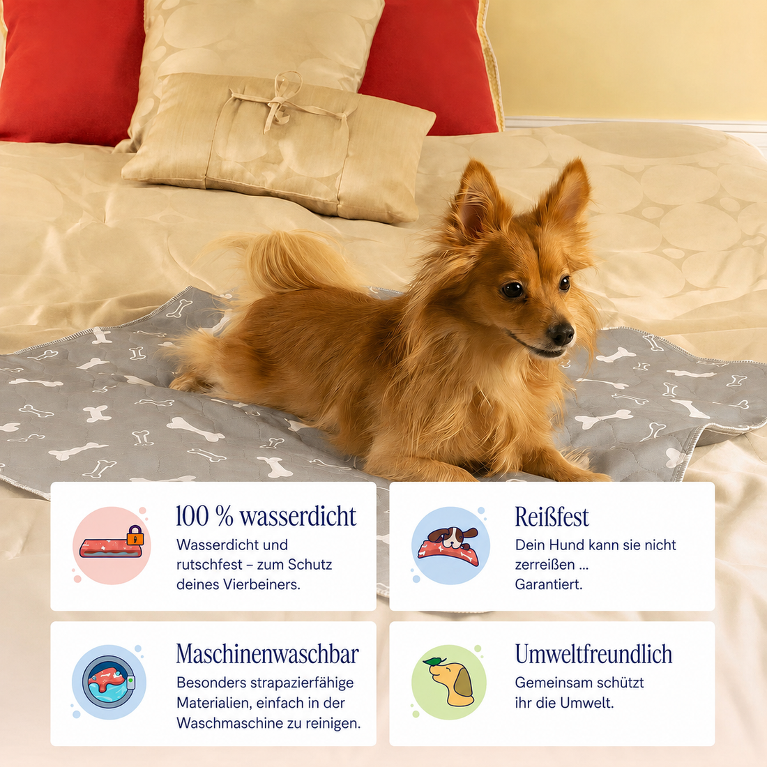PurePad – Die letzte Hundematte, die du je brauchen wirst